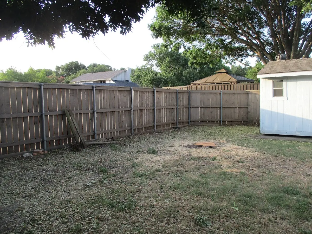 Cleared yard after professional tree removal in Condon