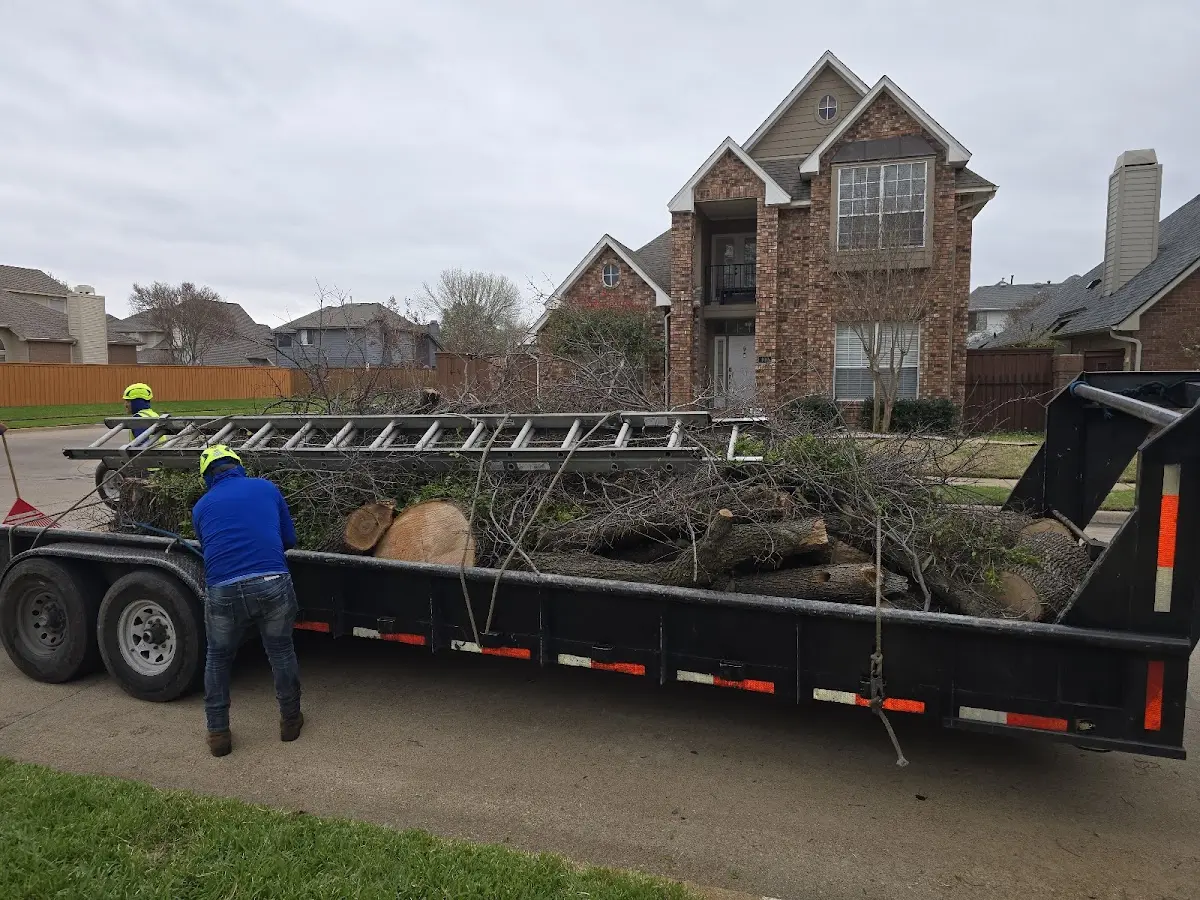 Expert Tree Fertilization with proper safety equipment in Condon